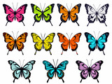 A Group Of Butterflies With Different Colors - Colorful butterfly s set
