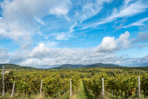 Blick über die Weinberge auf den Pfälzerwald photo