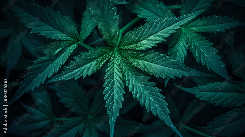 cannabis leaf - created with generative AI cannabis leaf - created with generative AI