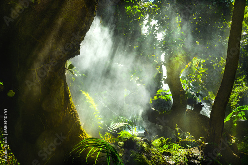 The garden is shady  cool and has light shining through the trees