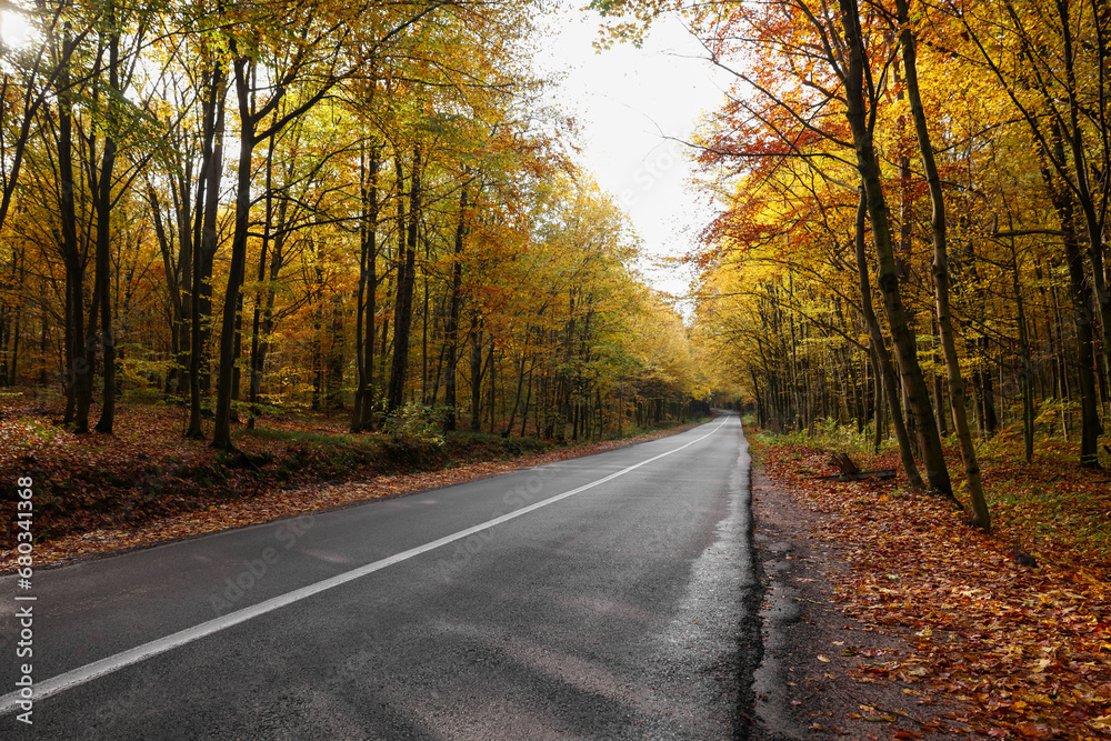 Beautiful view of asphalt road going through autumn forest