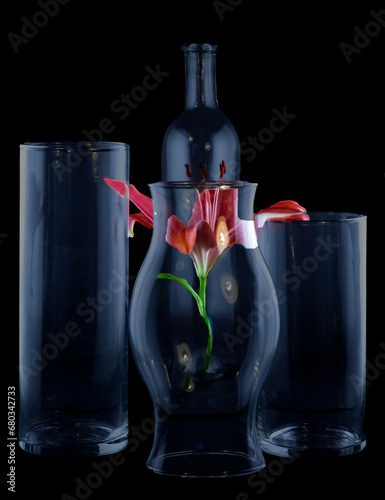 Reflections of a Lily