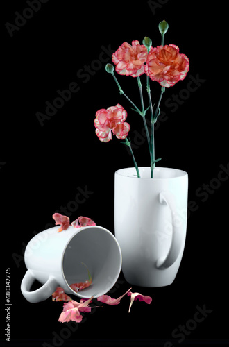 Carnations Pure and Simple