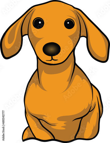 Boxer Color Peeking Dogs. Color image of a dogs head isolated on a white background. Dog portrait  Vector illustration