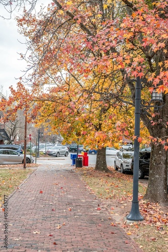 autumn in Asheville NC photo