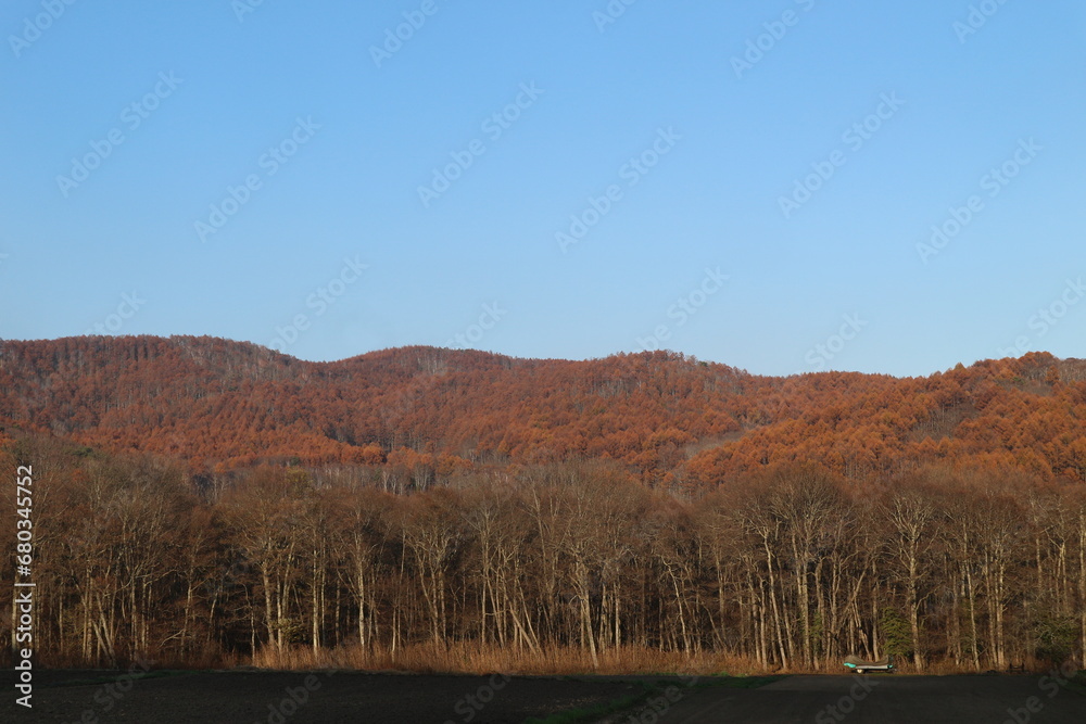 Majestic mountain forest and ski slopes in the beautiful autumn landscape in nagano Japan. Majestic mountain forest and ski slopes in the beautiful autumn landscape in nagano Japan.