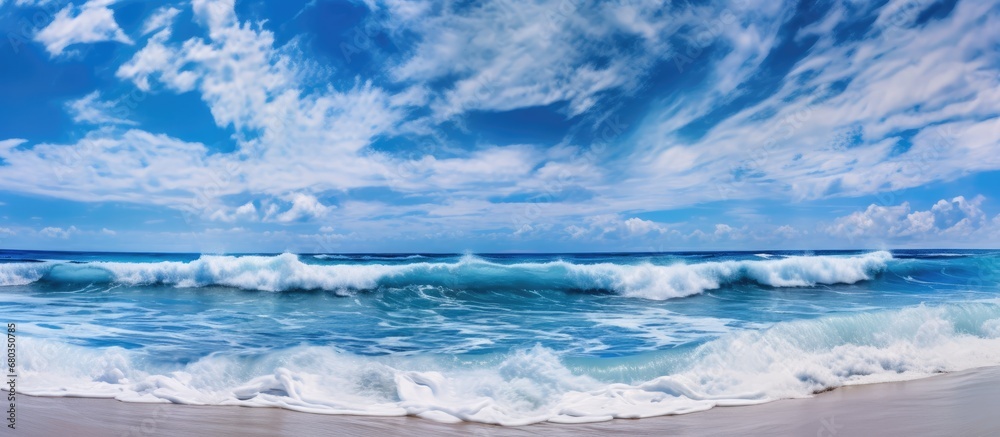 background, the sky merges seamlessly with the serene blue water, as the beach radiates the essence of summer and nature. The white clouds float effortlessly, mirroring the beauty of the animal life