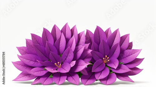 Colorful flowers floral Clipart  high quality resolution  beautiful flowers with white background   