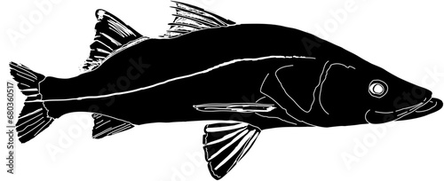 A black silhouette of a Snook Fish with a white outline and sketched