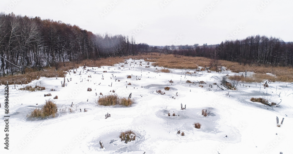 Winter lake. Aerial snowfall landscape. White meadow by snowy forest trees around frozen water with bulrushes drone view. Winter lake. Aerial snowfall landscape. White meadow by snowy forest trees around frozen water with bulrushes drone view.