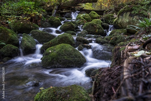 Fall flowing down a creek