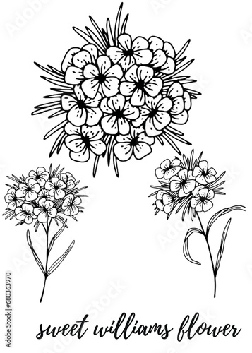 hand drawn flowers