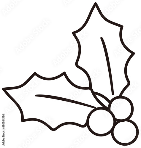  Christmas holly berry outline icon