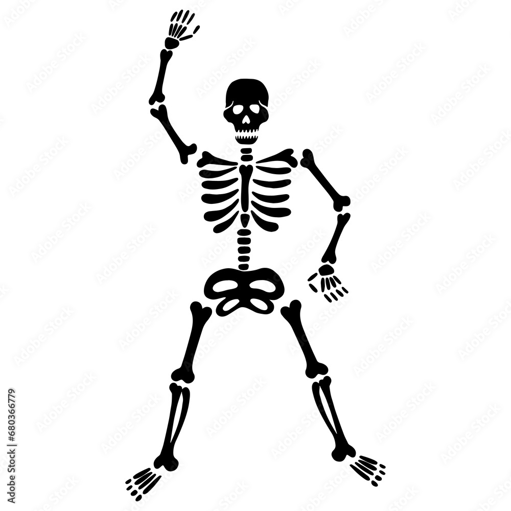 skeleton with a skull and bones skeleton with a skull and bones