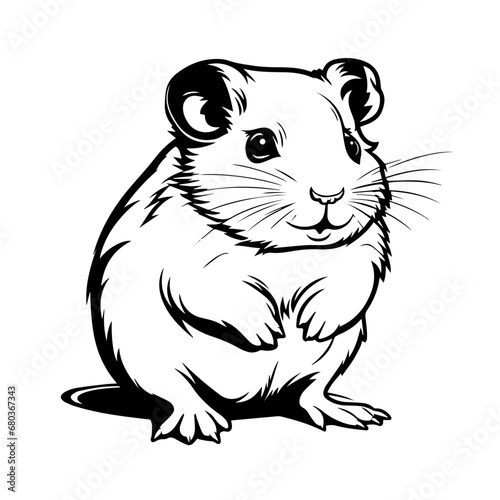 Hamster