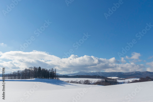 北海道美瑛町 美瑛の丘の雪景色