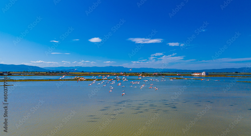 Flock of flamingos above the river Ebro, the delta region of the Ebro River in the southwest of the Province of Tarragona in the region of Catalonia in Spain Flock of flamingos above the river Ebro, the delta region of the Ebro River in the southwest of the Province of Tarragona in the region of Catalonia in Spain