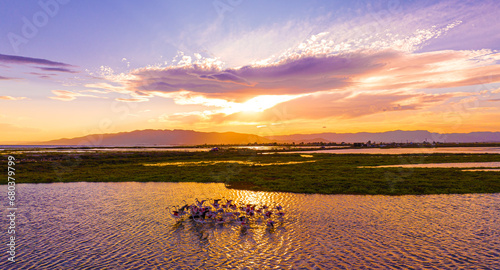 Flock of flamingos above the river Ebro, the delta region of the Ebro River in the southwest of the Province of Tarragona in the region of Catalonia in Spain