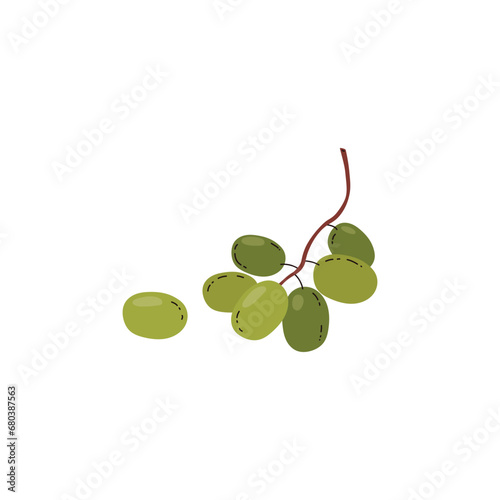 Green grapes branch icon flat vector illustration isolated on background.