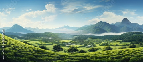 In the stunning Asian landscape  a lush green garden unfolds with magnificent mountain views  where tea leaves thrive in a beautiful farm  embracing the art of cultivation and agricultural practices