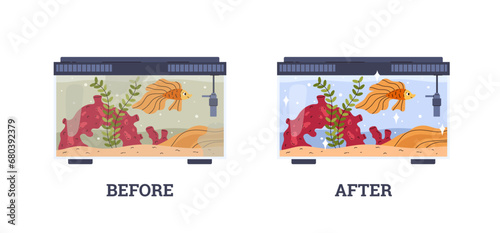 Glass home aquarium with gold fish, corals and seaweed, Before and after cleaning, vector maintenance, aquatic pet care