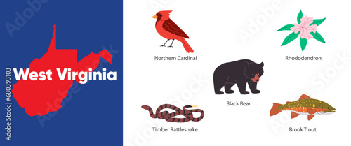 West Virginia states of symbol object timber rattlesnake rhododendron northern cardinal bird bear brook trout America country illustration