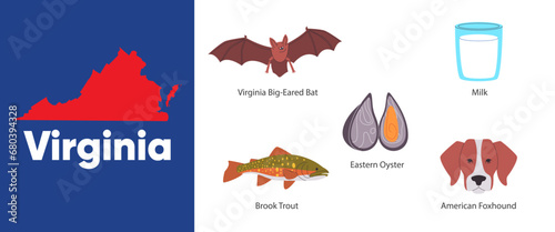 Virginia states map shape of symbol object brook trout fish foxhound eastern oyster big eared bat America country illustration