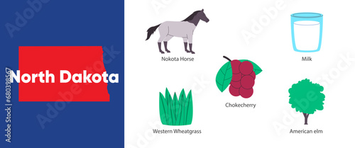 North Dakota states of symbol object of nokota horse chokecherry american elm America country illustration