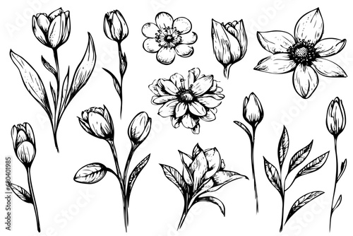 Set of tiny wild flowers and plants, vector botanical illustrations. Fashionable collection of flowers drawn in black ink. Modern design for logo, tattoo, wall art, branding and packaging. #680401985