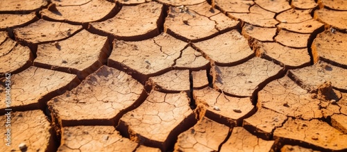 The dry land caused by global warming is a stark reminder of the impact it has on natures delicate balance, with the ground cracking underfoot and the dry mouth thirsting for water that now seems as