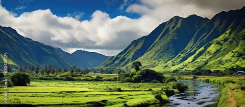 In the picturesque landscape of Hawaii, amidst the lush green mountains and fertile fields, a farm thrived. The rivers gentle stream nourished the taro crops, painting the valley with a vibrant shade photo