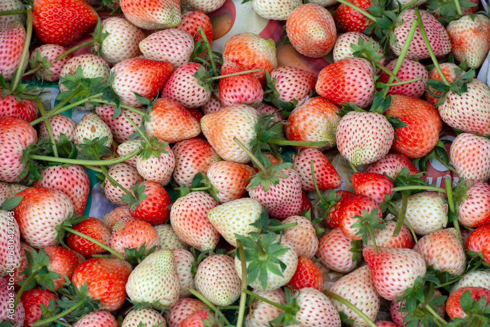 Close-up of fresh strawberries. Many raw and ripe strawberries Close-up of fresh strawberries. Many raw and ripe strawberries