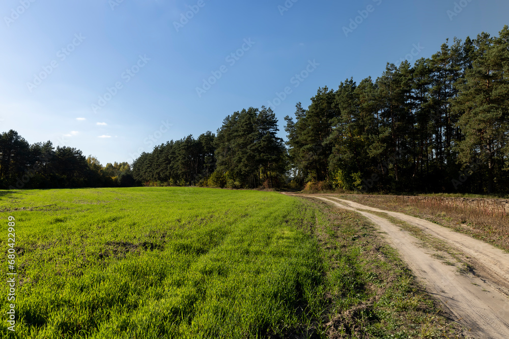 A rural road without asphalt in the autumn season A rural road without asphalt in the autumn season