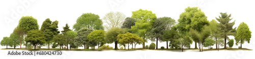 Many different types of trees on a transparent background, gardenscapes, panorama