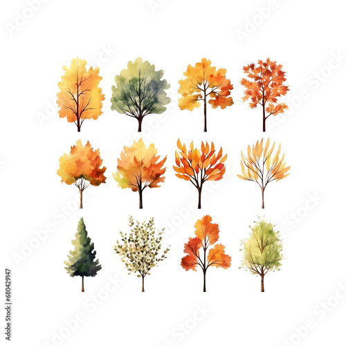 Autumn tree watercolor Set clipart isolated transparent background crop picture use.  PNG 300 DPI © Jo