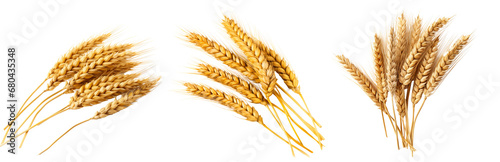 Wheat ears set isolated on transparent background