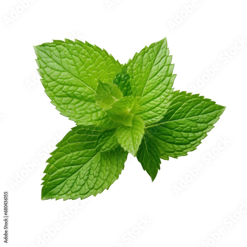 Mint leaves isolated transparent background