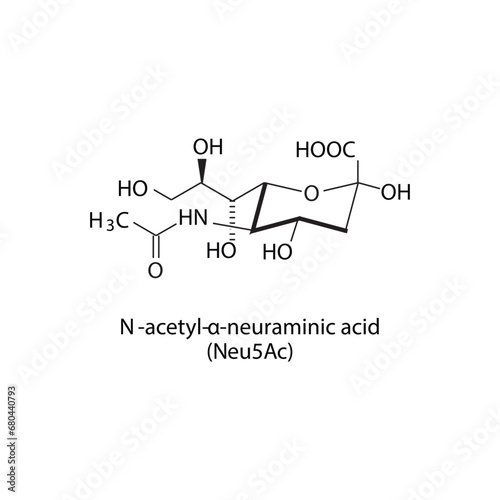 Molecular structure diagram of N-acetyl-α-neuraminic acid (Neu5Ac) - a sialic acid. white Scientific vector illustration.