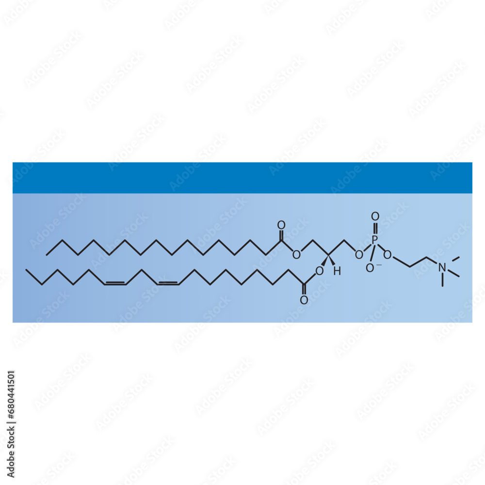 Naklejka premium Diagram showing schematic molecular structure of Phosphatidylcholine Blue Scientific vector illustration.