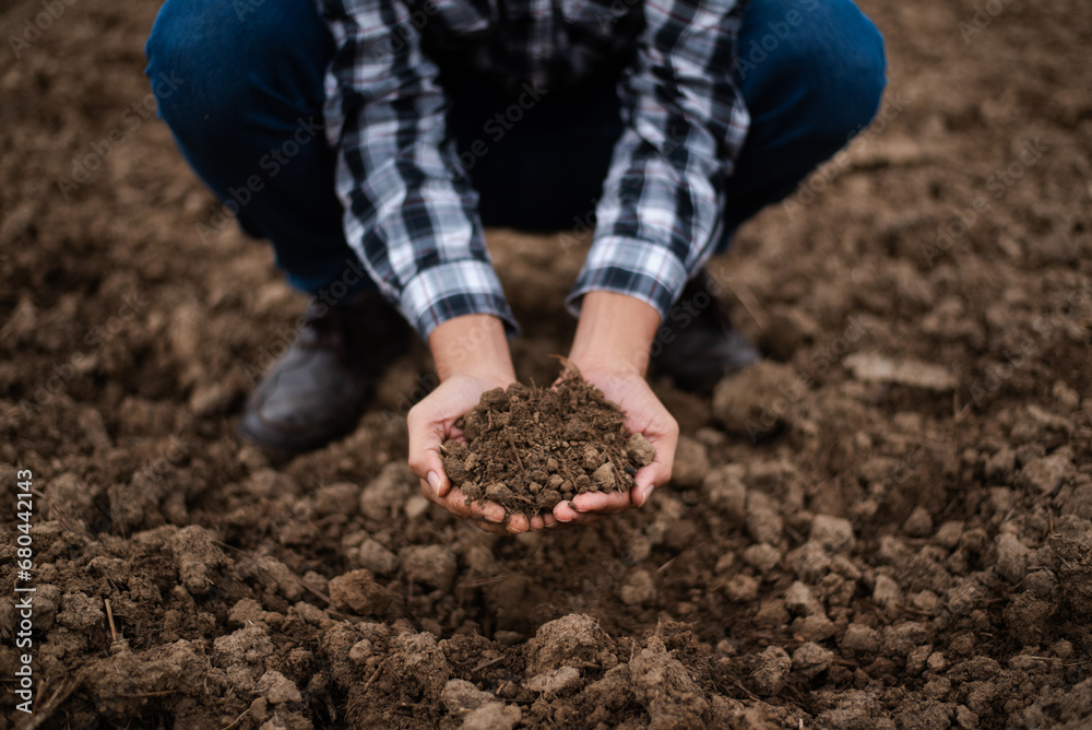 Hands of the gardeners are grabbing the soil to plant the trees.. Hands of the gardeners are grabbing the soil to plant the trees..