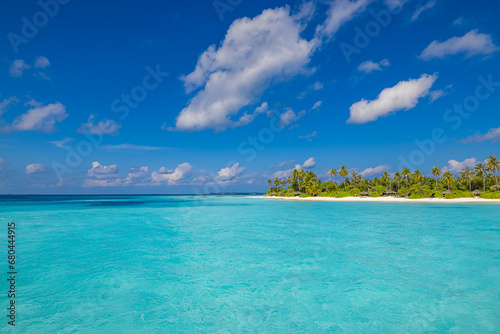 Maldives island beach. Tropical landscape of summer paradise. White sand , coconut palm trees calm sea bay. Luxury travel vacation destination. Exotic beach island. Amazing nature inspire relaxation © icemanphotos