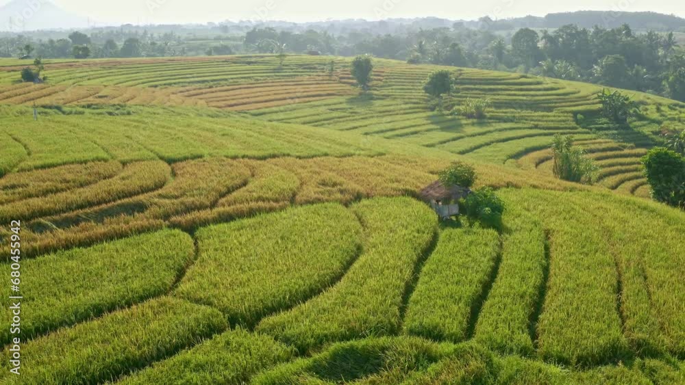 Aerial view of rice terraces. Landscape with drone. Agricultural landscape from the air. Rice terraces in the summer. Green Rice Fields With Tropical Forest And Mountains