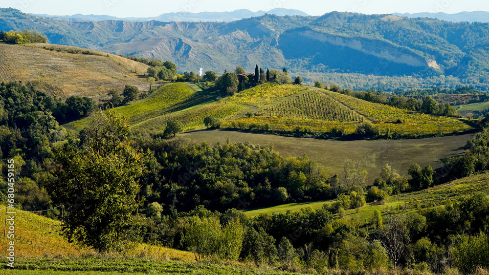 Foliage d'autunno nei vitigni delle colline bolognesi. Bologna, Emilia Romagna. Italia