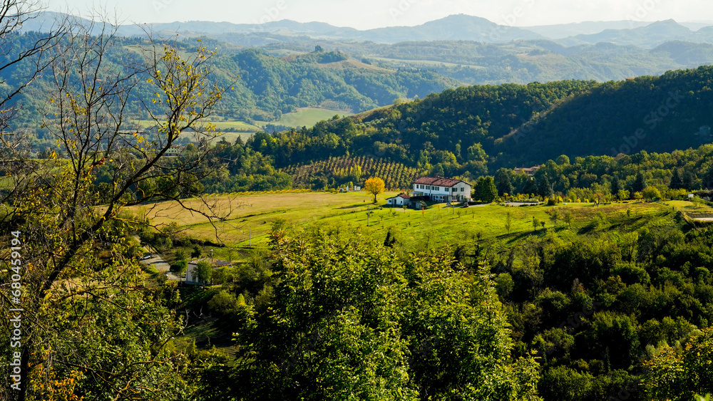 Foliage d'autunno nei vitigni delle colline bolognesi. Bologna, Emilia Romagna. Italia Foliage d'autunno nei vitigni delle colline bolognesi. Bologna, Emilia Romagna. Italia