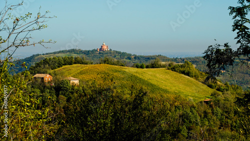 Foliage d'autunno nei vitigni delle colline bolognesi. Bologna, Emilia Romagna. Italia photo