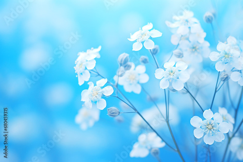 White, small flowers on a blue background.