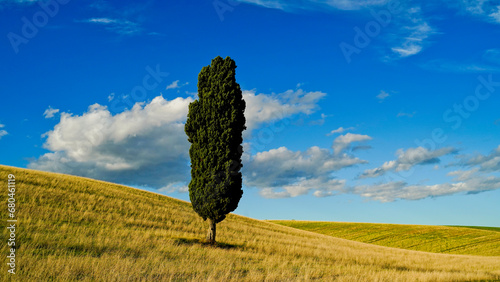 Foliage d'autunno nei vitigni delle colline bolognesi. Bologna, Emilia Romagna. Italia photo