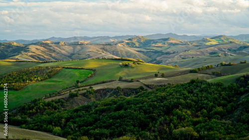 Foliage d'autunno nei vitigni delle colline bolognesi. Bologna, Emilia Romagna. Italia