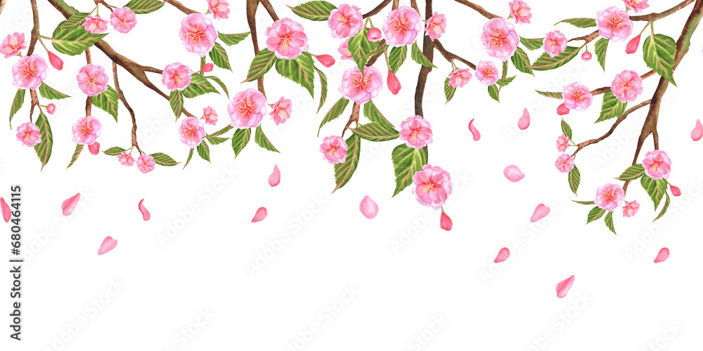 Hand-drawn watercolor illustration. Floral seamless border with sakura flowers, buds, leaves and falling petals