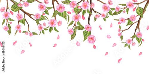 Hand-drawn watercolor illustration. Floral seamless border with sakura flowers, buds, leaves and falling petals